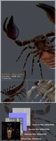 HQ low poly 3d model of scorpion for animation