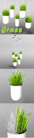 Vertical Hanging pots with grass