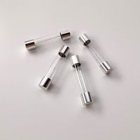 Glass Fuse 3D Model