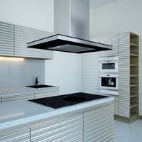 Kitchen Furniture and Appliances Kuppersbusch