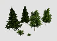 Park plants