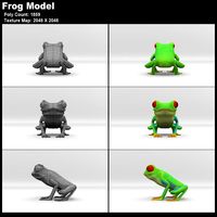 Red Eyed Tree Frog Model