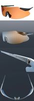 Ballistic_eyewear
