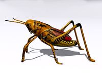 Grasshopper 3D Model