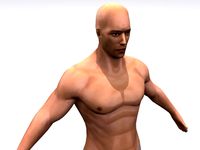 High Resolution Male 3D Model