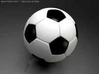 Soccer Ball 3D Model
