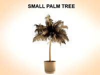 Small Palm 3D Model