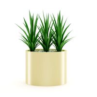 Triple Palm 3D Model
