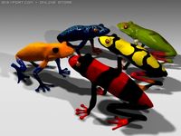Download free Poison frog 3D Model