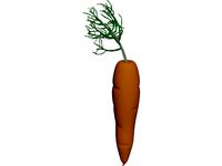 Carrot