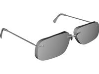Carbon Glasses