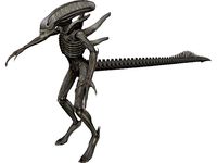Alien Warrior