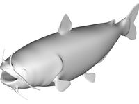 Blue Catfish