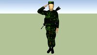 soldado militar sedena secretaria de la defensa nacional de mexico ejercito mexicano