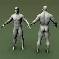 Male Human Anatomy High Poly 3D Model