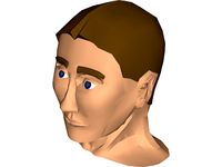 Justins Male Head