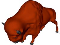 Buffalo