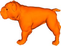 Bulldog
