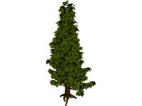 Needle Tree