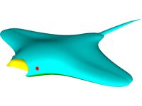 Manta Ray