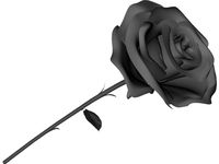 Rose 3D CAD Model