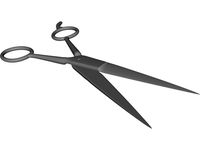 Surgical Scissors