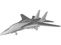 F-14 Tomcat Fighter