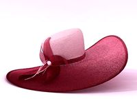 Elegant Hat 3D Model