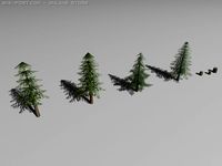 Pines 3D Model
