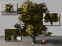 Oak Tree 2 3D Model