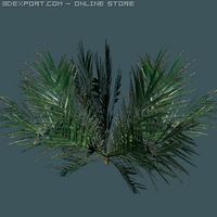 Palm 3D Model
