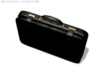 Business bag 3D Model