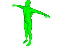 Swimmer