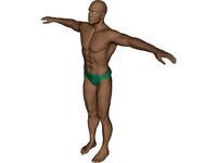 Swimmer Athlete