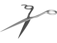 Haircut Scissors
