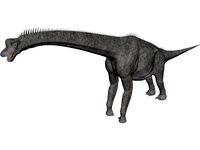 Brachiosaurus