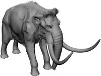 Mammoth