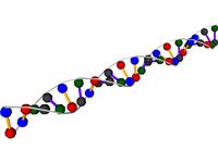 DNA Strand