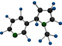 Nicotine Molecule