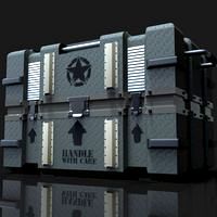 Military Case