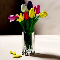 Tulips 2017