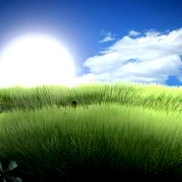 GrassyField