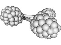 Alveoli 3D CAD Model