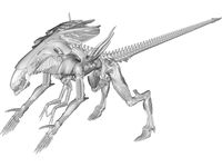 Alien Queen