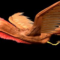 spirit creature ishtar bird