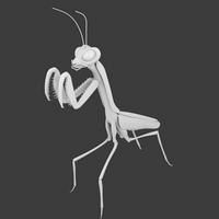 erik90mx creature praying mantis
