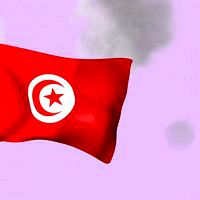Animated Tunisian Flag