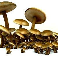 mushrooms