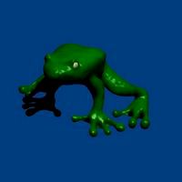 frog berna