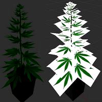 Hemp Plant - free4all